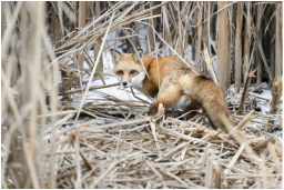 Photo by Jeff Miller, UW-Madison